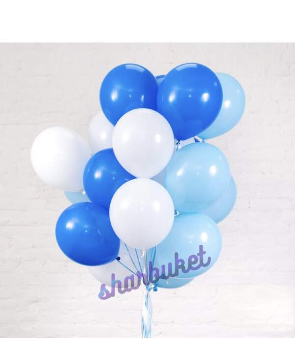 Облако шаров бело-сине-голубого цвета пастель (16 шаров)